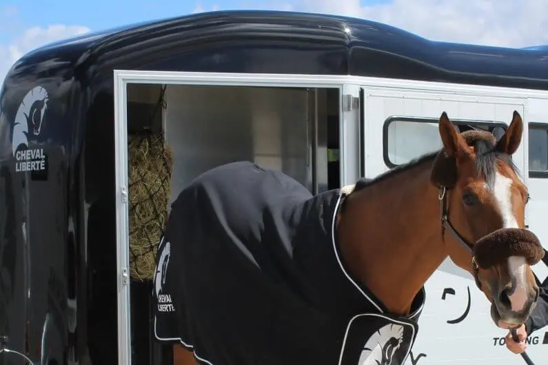 Hest-i-Cheval-Liberte-Touring-Country-hestehenger